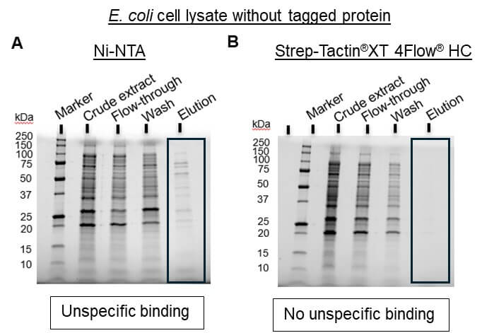 Ni-NTA unspecific binding