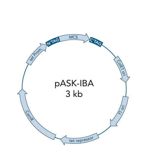 Vector pASK StarGate