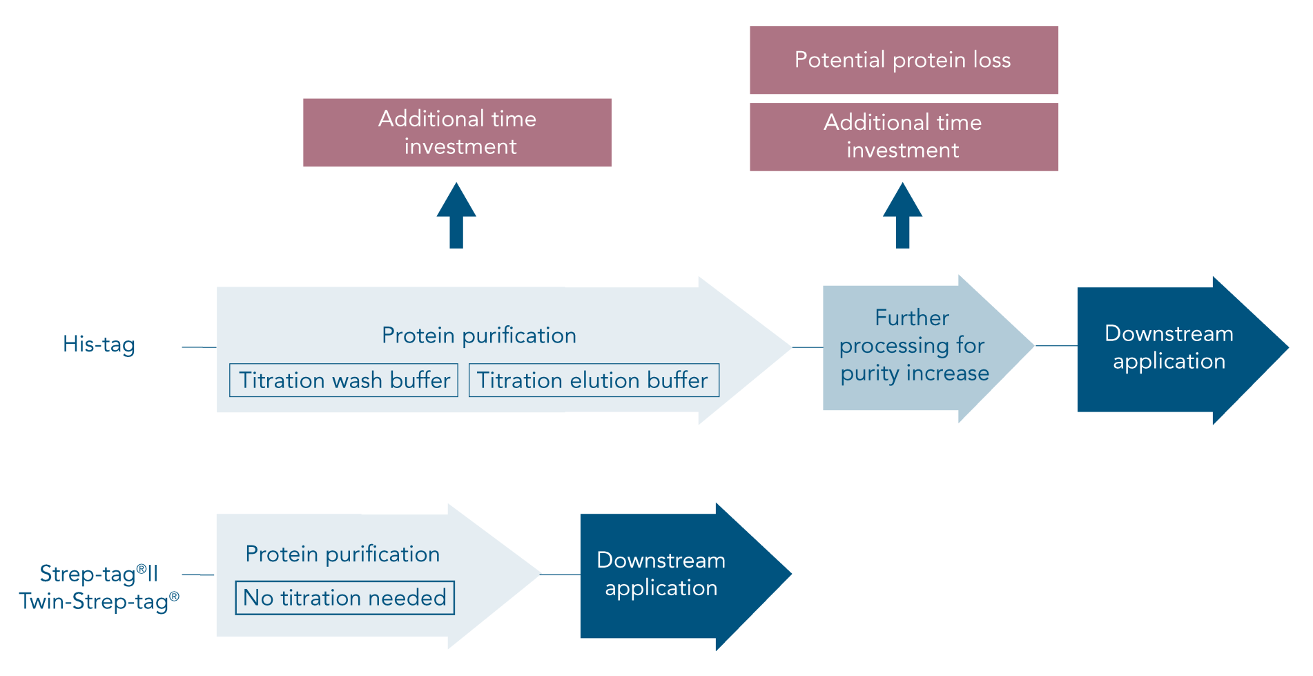 Workflow purification to downstream applications with his-tag vs strep-tag