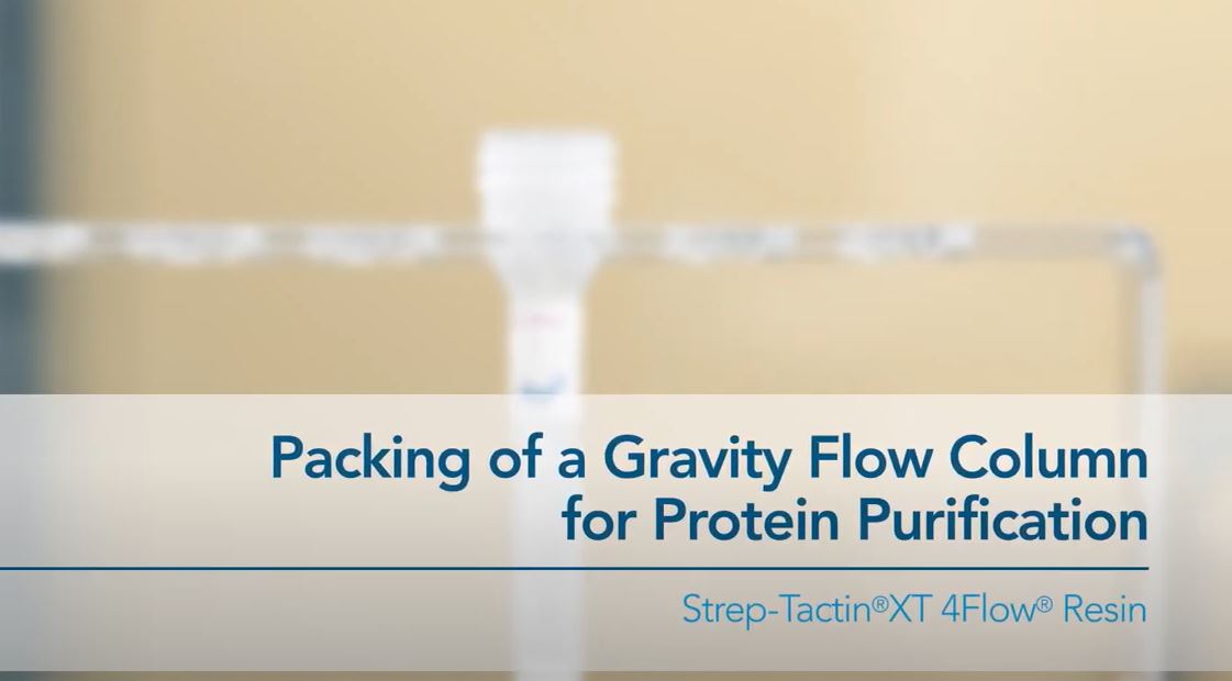 Thumbnail for gravity flow column packing how-to video