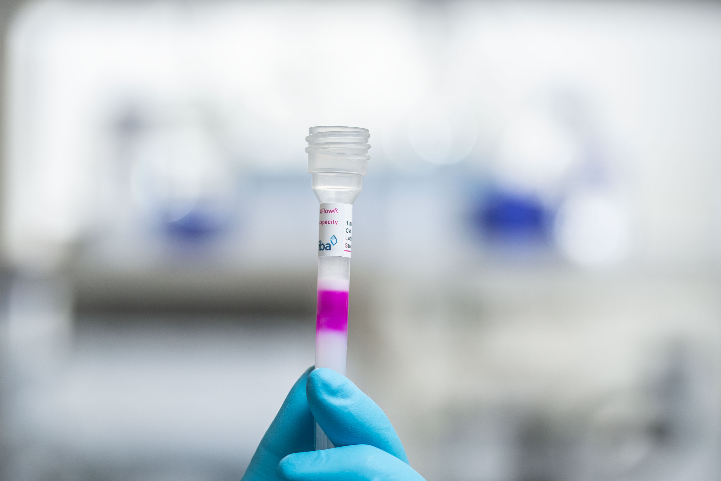 Strep-TactinXT twin-strep-tag protein purification